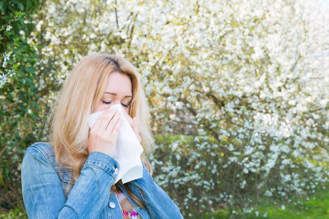Immunsystem & Allergien