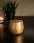 joils aroma diffuser mia stadler