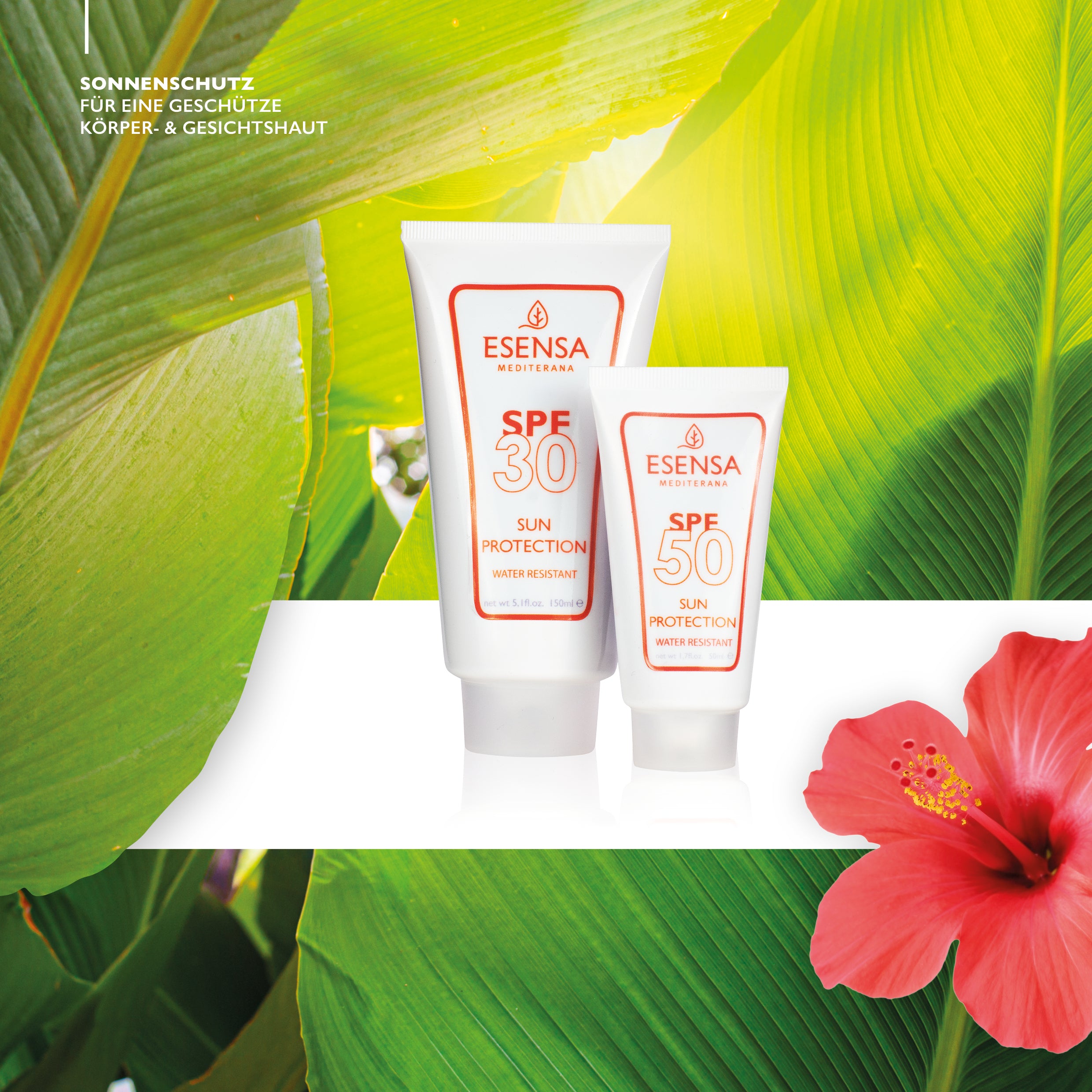 Sun Protection Face │ Protective &amp;amp; moisturizing sun cream for the face with SPF 50