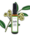 Airspray LITSEA CUBEBA - Joils raumspray natureines oel